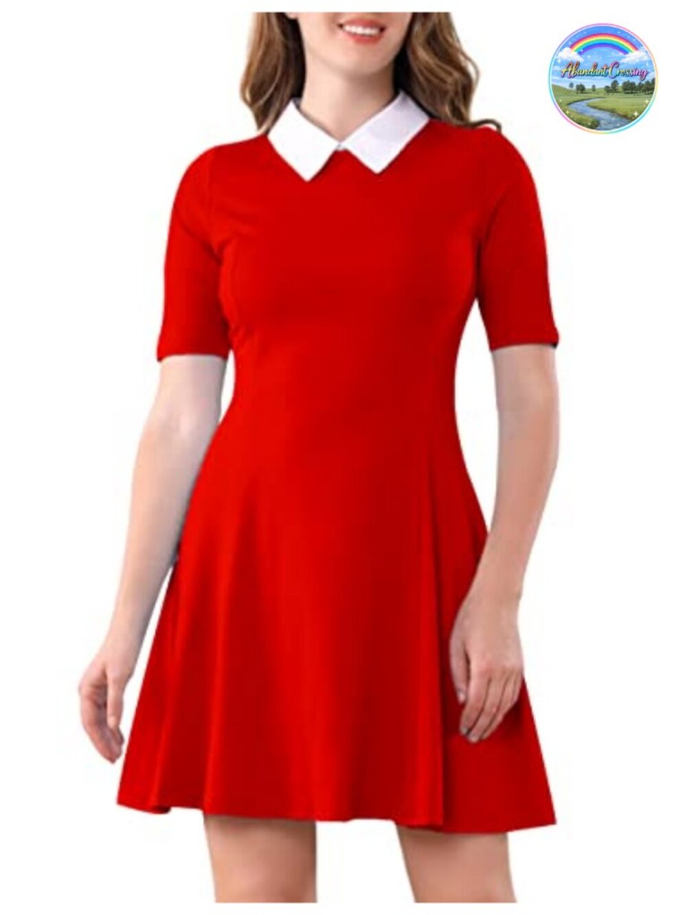 Women's Short Sleeve Peter Pan Collar Skater Dress Fit & Flare